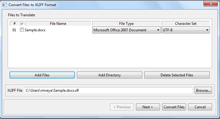 Convert File to XLIFF Format dialog